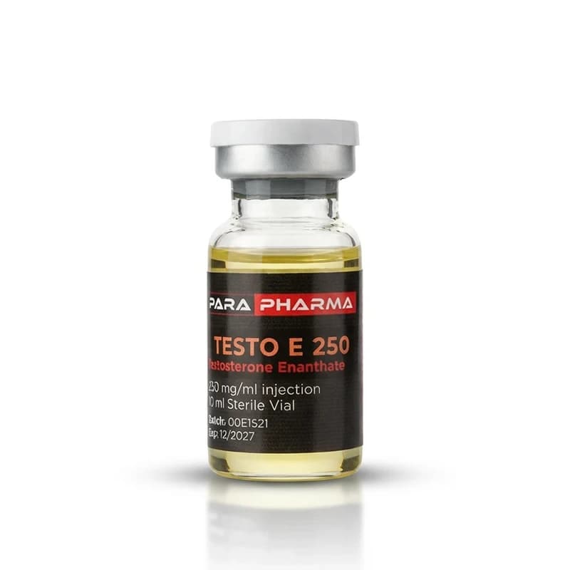 Testo E 250