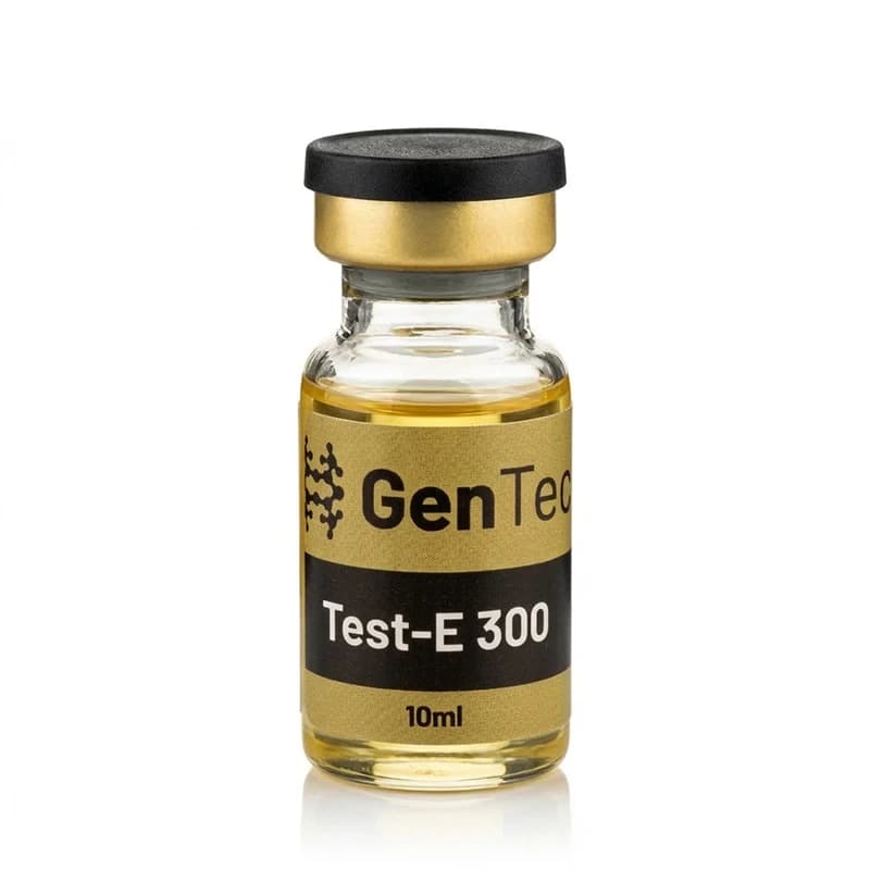 Testo-E 300